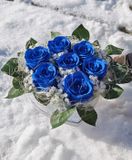 In eterno box modrých ruží 1