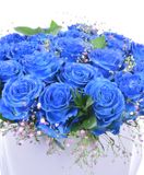 Flower box modrých ruží detail