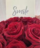 Flower kocka červených ruží detail