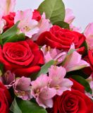 Kytica červených ruží a ružových alstromérií detail