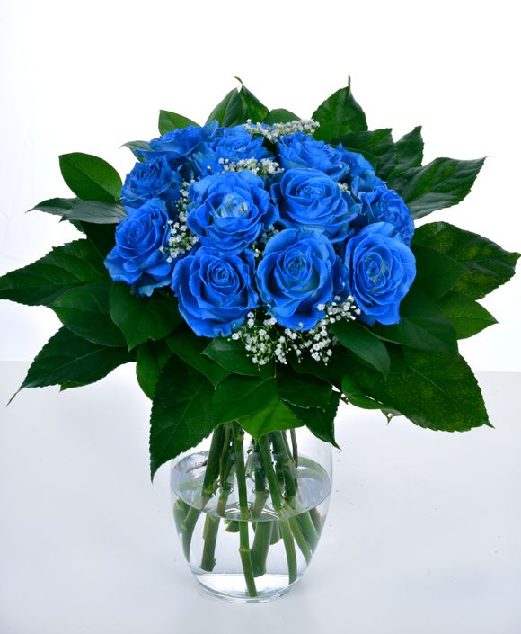 Kytica krása modrej ruže
