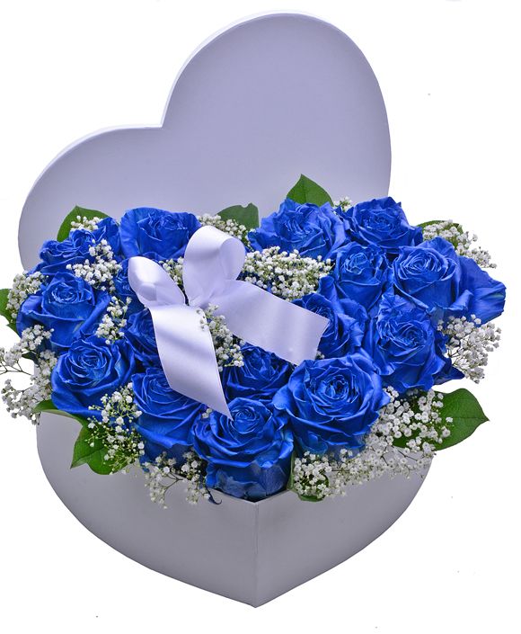 Srdce modrých ruží